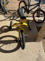 Cyco Cycle Unicycle