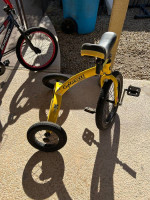 Cyco Cycle Unicycle