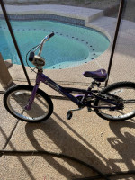 trek 20" bike