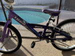 trek 20" bike