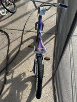 trek 20" bike