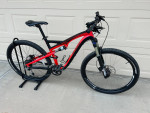 Specialized Elite 29 + Stand
