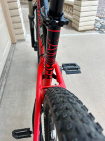 Specialized Elite 29 + Stand