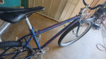 Custom vintage single speed build