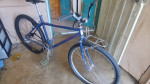 Custom vintage single speed build