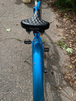 Geared Cruiser Bike (Will Deliver)