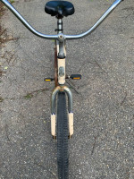 Cruiser Bike (Will Deliver)