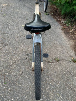 Cruiser Bike (Will Deliver)