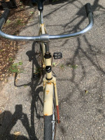 Single Geared Bike (Will Deliver)
