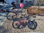 Mountain bikes