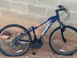 Bikes for sale