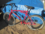 Fuji Folding Bicycle