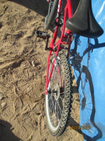 Fuji Folding Bicycle