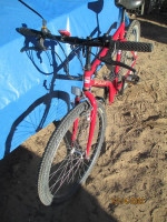 Fuji Folding Bicycle