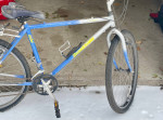 Vintage Bridgestone MB-6 Trailblazer Mountain Bike