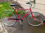 2011 Schwinn Willy