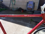2011 Schwinn Willy