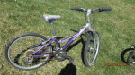 Trek Girl's & Boy's 24" Mountain Track Bicycles