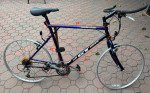 GT Timberline All Terra Triple Triangle - need tires & tubes