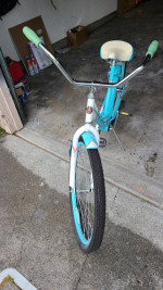 Schwinn