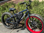 High Performance Electric Ebike