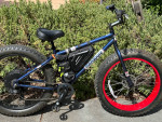 High Performance Electric Ebike