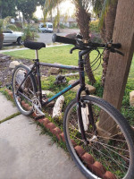 1990's Diamondback Ascent ex Mountain Bike