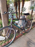 1990's Diamondback Ascent ex Mountain Bike