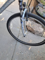 Trek hybrid