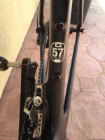 Kestrel Talon