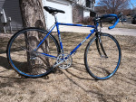 Road Bike gios median