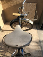Firestone Century Cruiser
