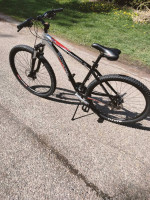 Firewire elite series 3.0 Schwinn 29 incher like new