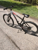 Firewire elite series 3.0 Schwinn 29 incher like new