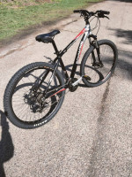 Firewire elite series 3.0 Schwinn 29 incher like new