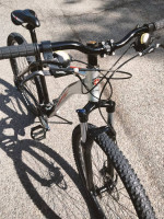 Firewire elite series 3.0 Schwinn 29 incher like new