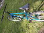 Bianchi Ocelot, beautiful mountain bike
