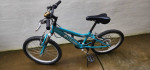 Columbia kids bike