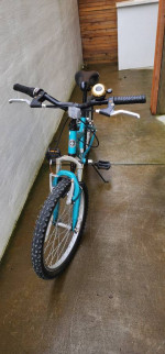 Columbia kids bike