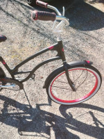 Custom Santa Cruz Beach Cruiser