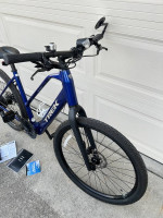 Trek Dual Sport+ 2 Stagger, light weight electric bike.