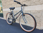 LADIES MOUNTAIN/URBAN BIKE – Giant Rincon