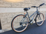 LADIES MOUNTAIN/URBAN BIKE – Giant Rincon