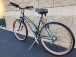 LADIES MOUNTAIN/URBAN BIKE – Giant Rincon