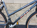 LADIES MOUNTAIN/URBAN BIKE – Giant Rincon