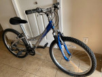 Trek MountainTrack 220
