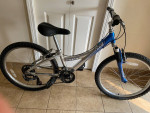 Trek MountainTrack 220
