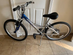 Trek MountainTrack 220