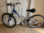 Trek MountainTrack 220