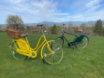 His and Hers Electra Vintage Cruisers